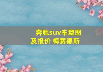 奔驰suv车型图及报价 梅赛德斯